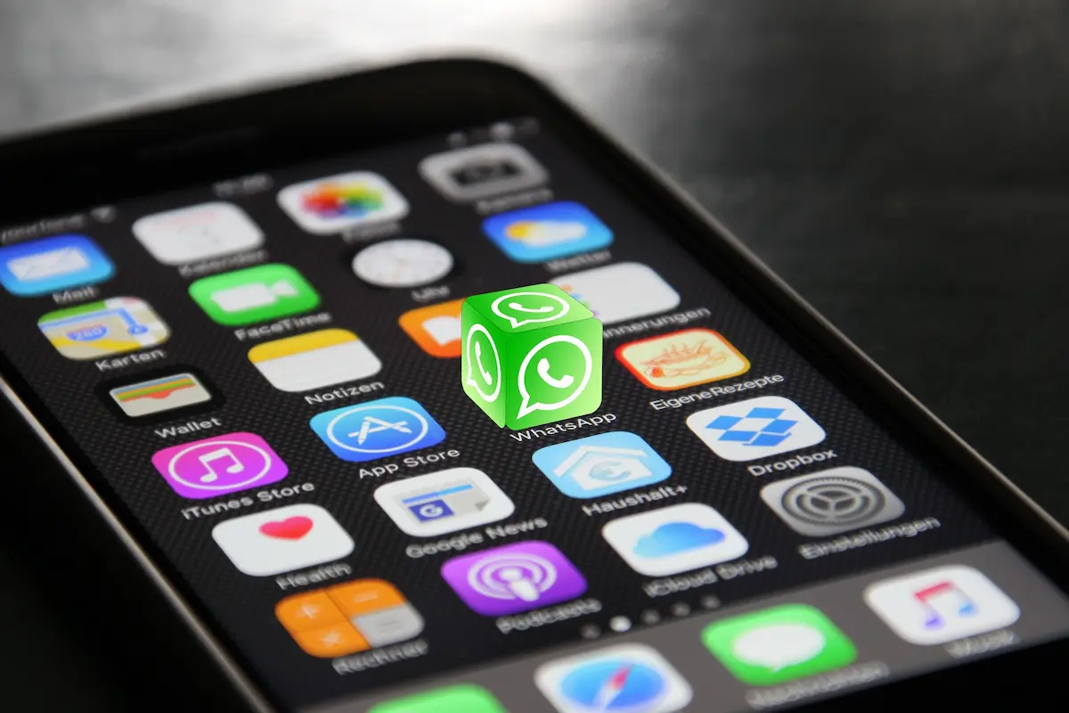 Contacto por celular desde el negocio — Colmena X